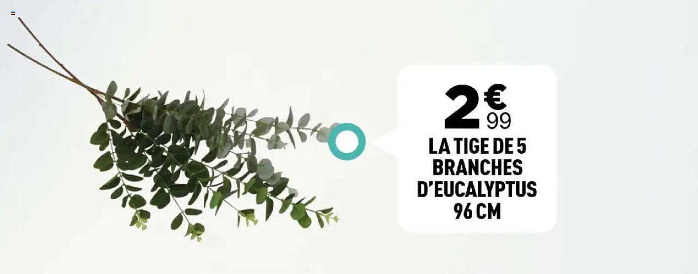 LA TIGES DE 5 BRANCHES D'EUCALYPTUS 96 CM