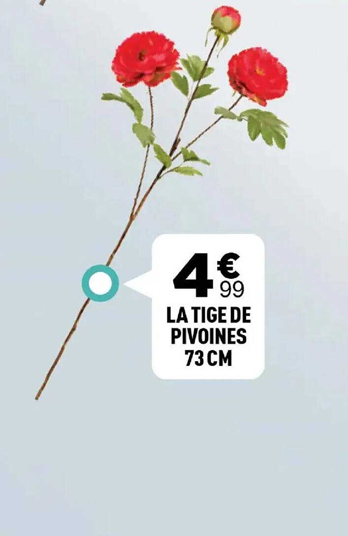 LA TIGES DE PIVOINES 73 CM