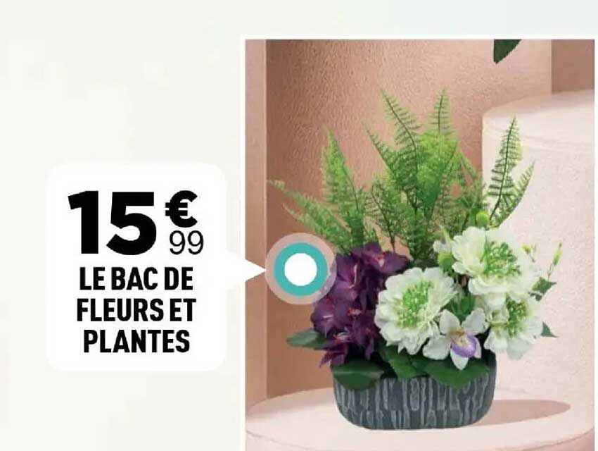 LE BAC DE FLEURS ET PLANTES