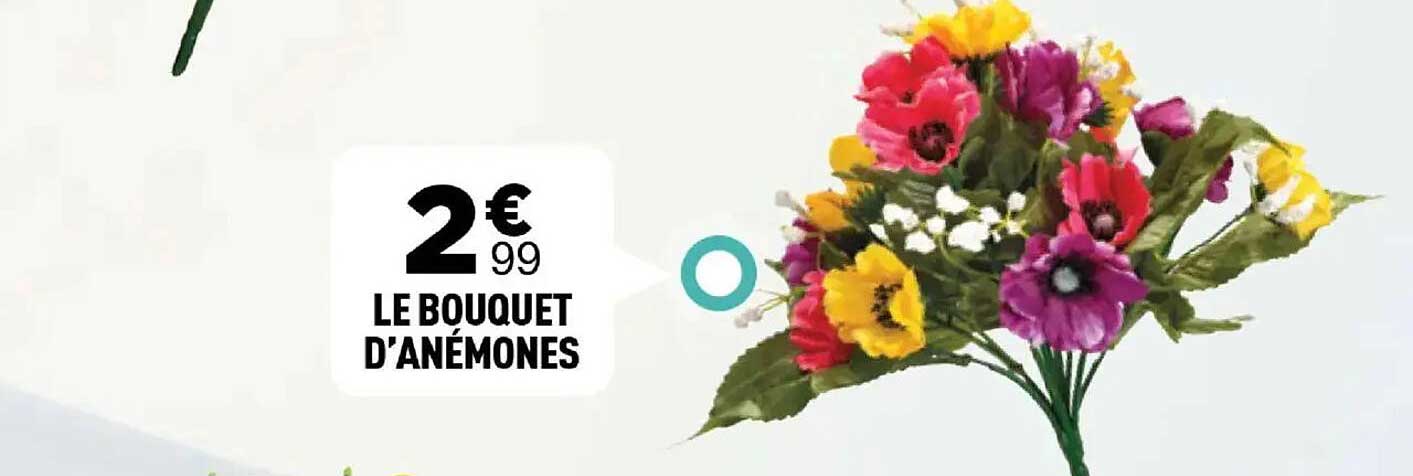 LE BOUQUET D'ANÉMONES