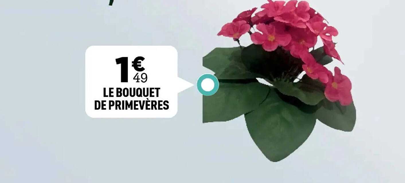 LE BOUQUET DE PRIMEVÈRES