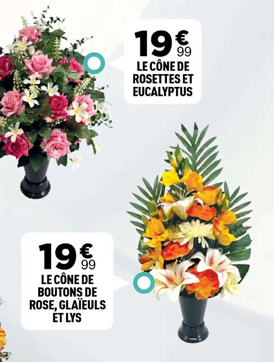 LE CÔNE DE ROSETTES ET EUCALYPTUS
