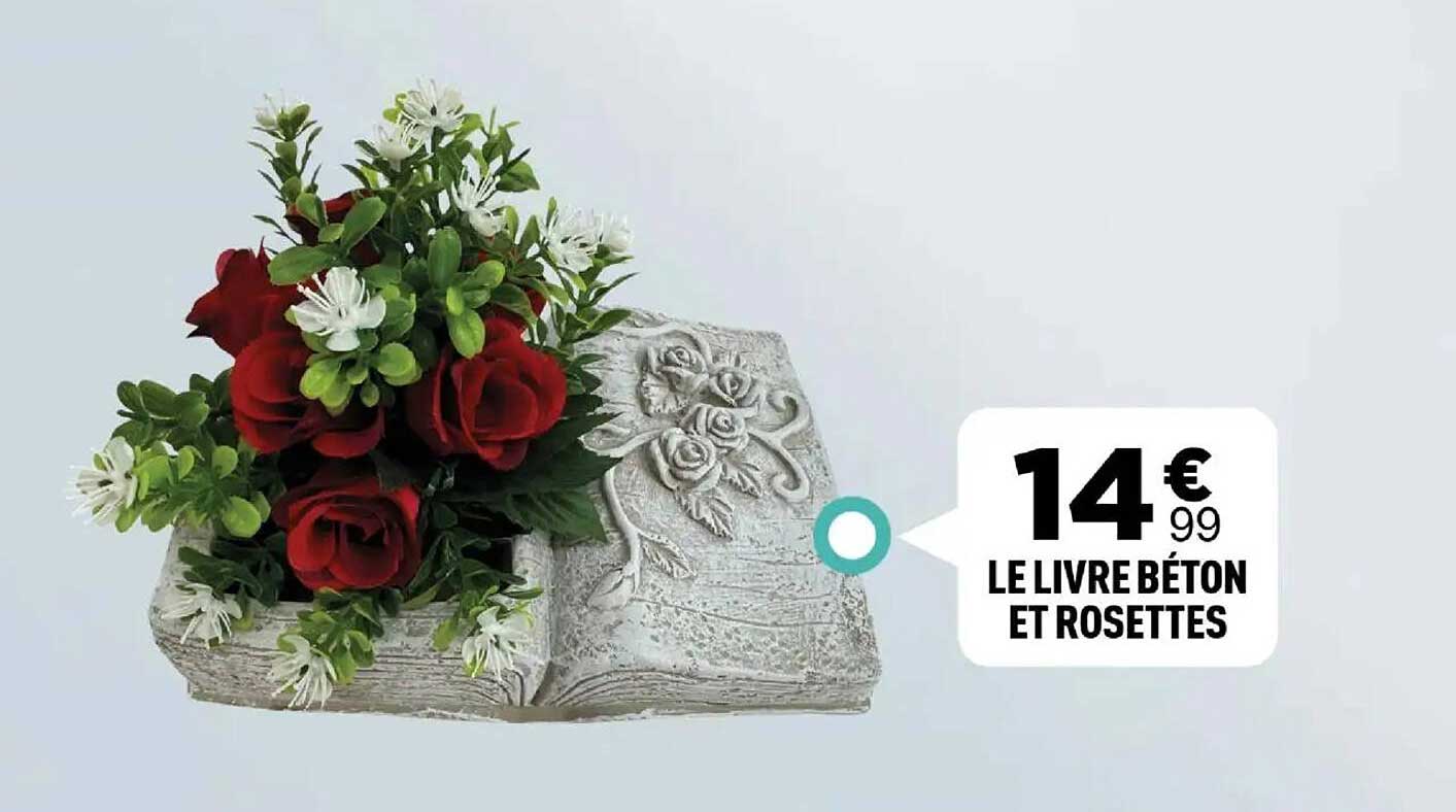 LE LIVRE BÉTON ET ROSETTES