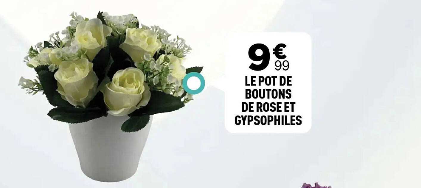 LE POT DE BOUTONS DE ROSE ET GYPSOPHILES