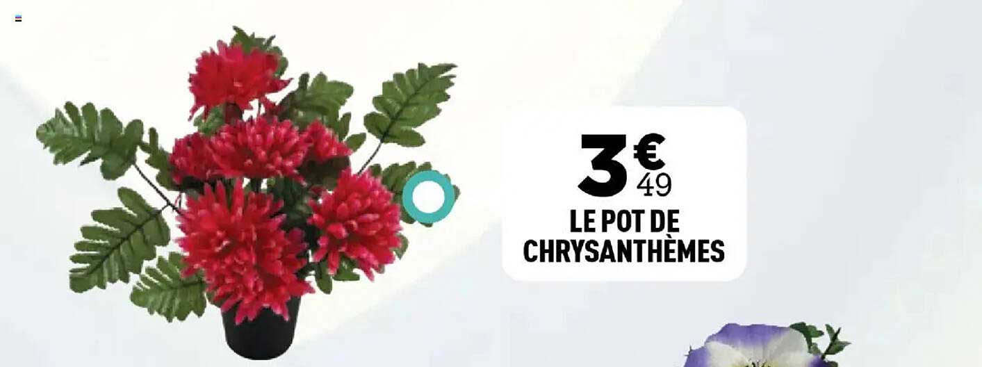LE POT DE CHRYSANTHÈMES