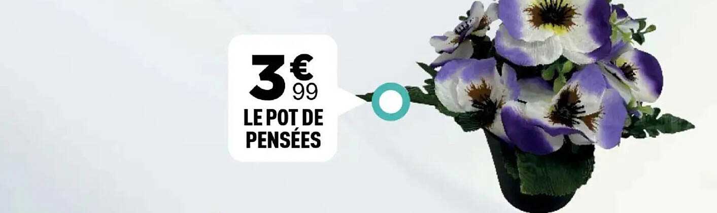 LE POT DE PENSÉES