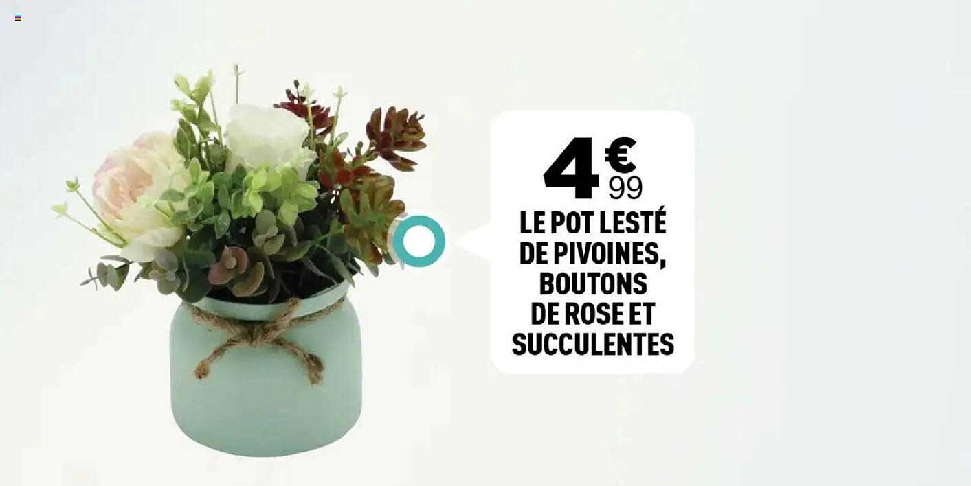 LE POT LESTÉ DE PIVOINES, BOUTONS DE ROSE ET SUCCULENTES
