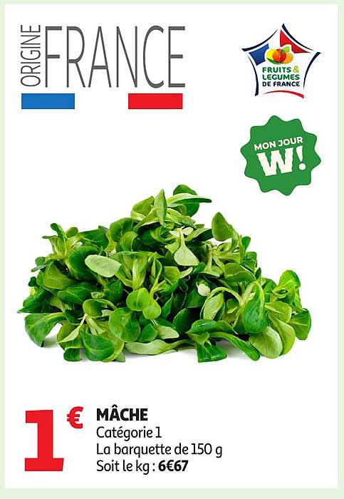 MÂCHE