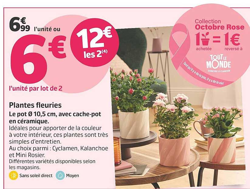 Plantes fleuries