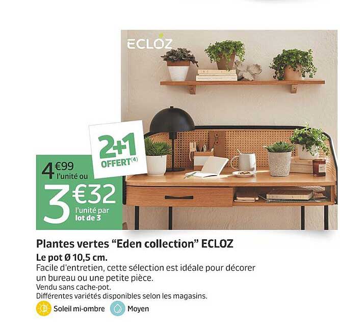 Plantes vertes “Eden collection” ECLOZ