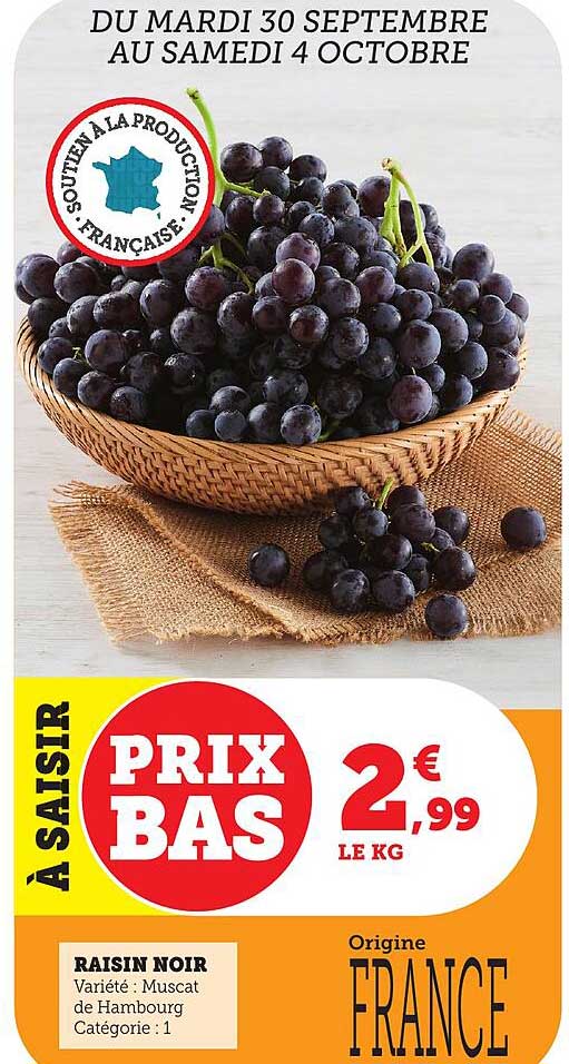 Raisin noir Muscat de Hambourg