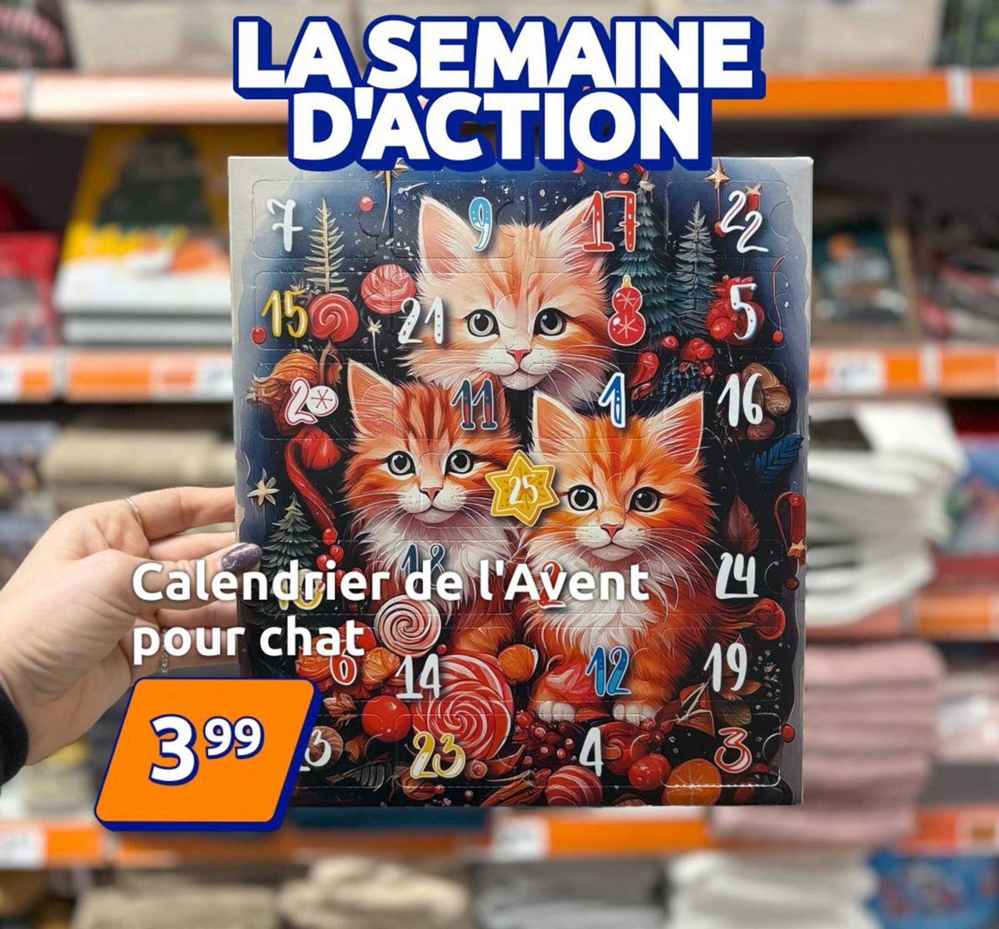 Calendrier de l'Avent pour chat