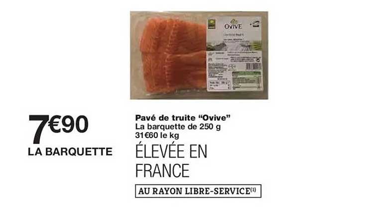 Pavé de truite “Ovive”