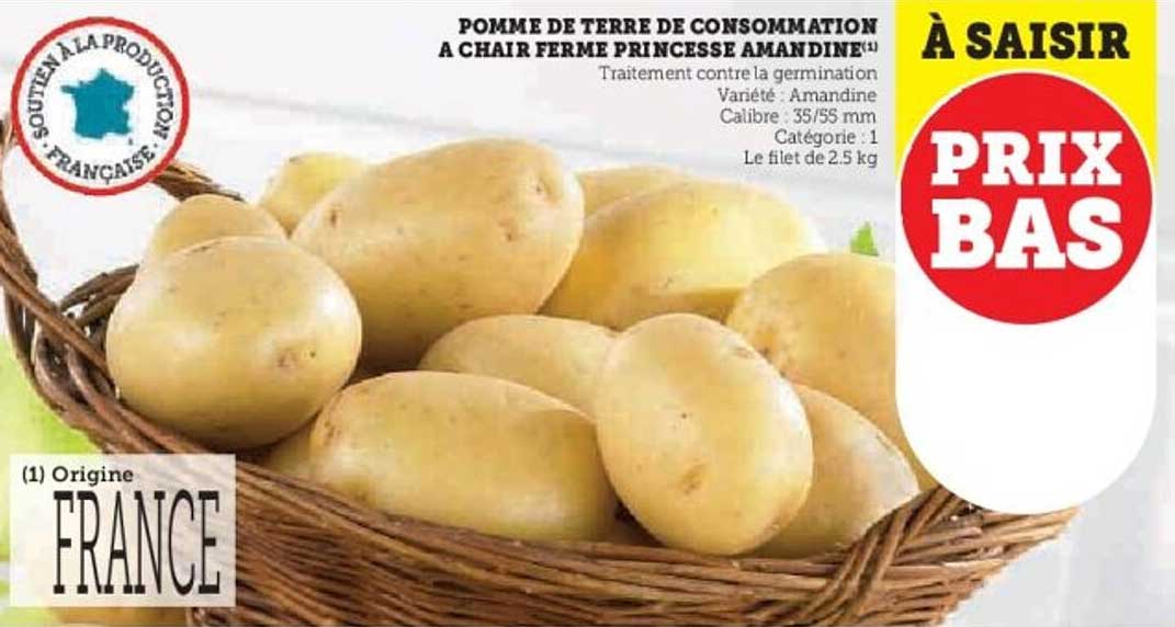 POMME DE TERRE DE CONSOMMATION À CHAIR FERME PRINCESSE AMANDINE