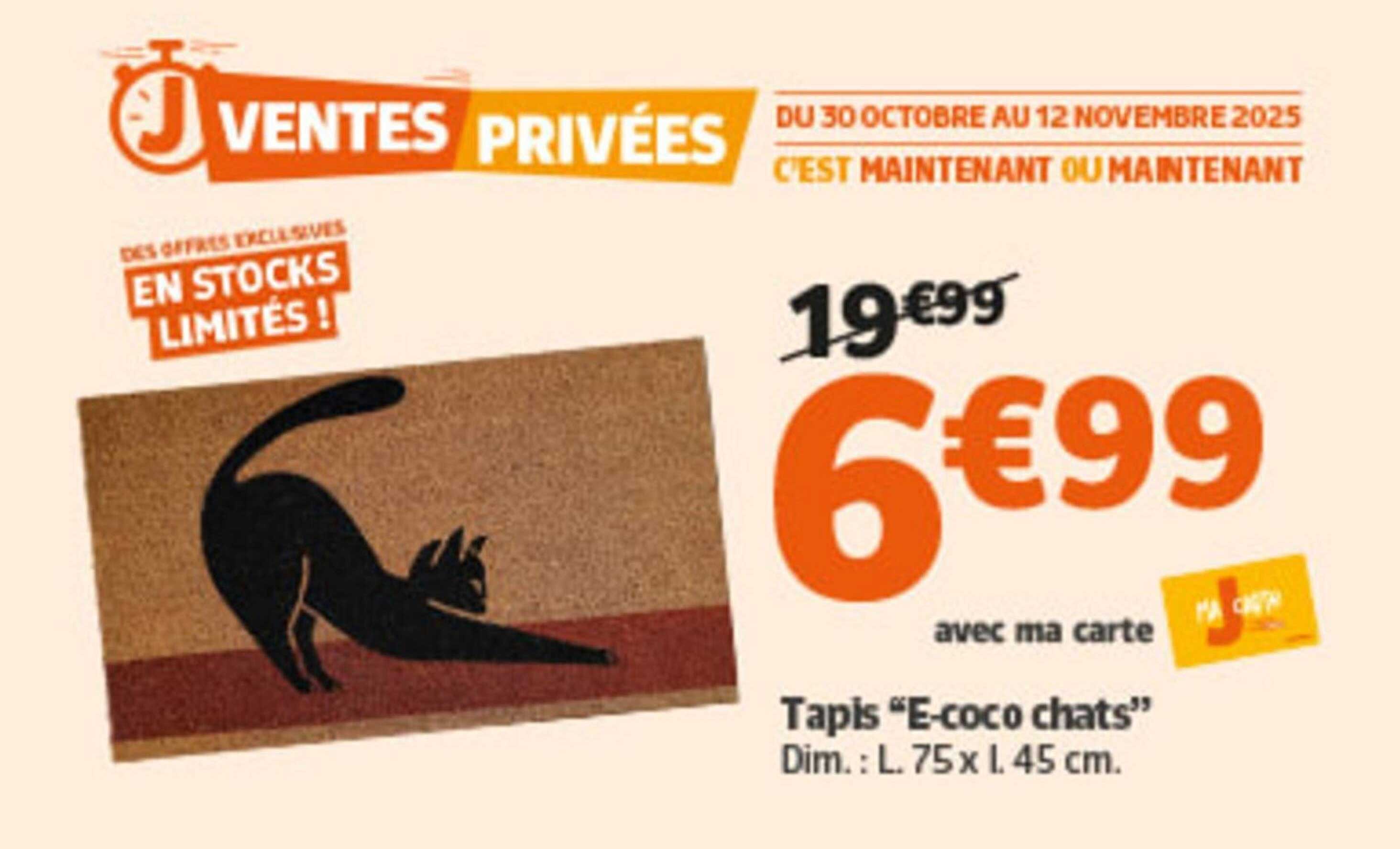 Tapis "E-coco chats"