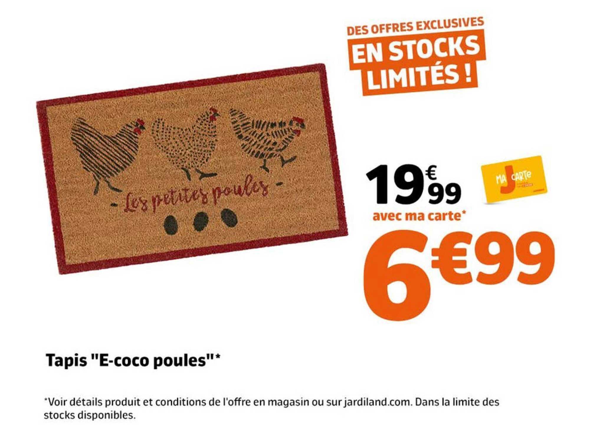 Tapis "E-coco poules"
