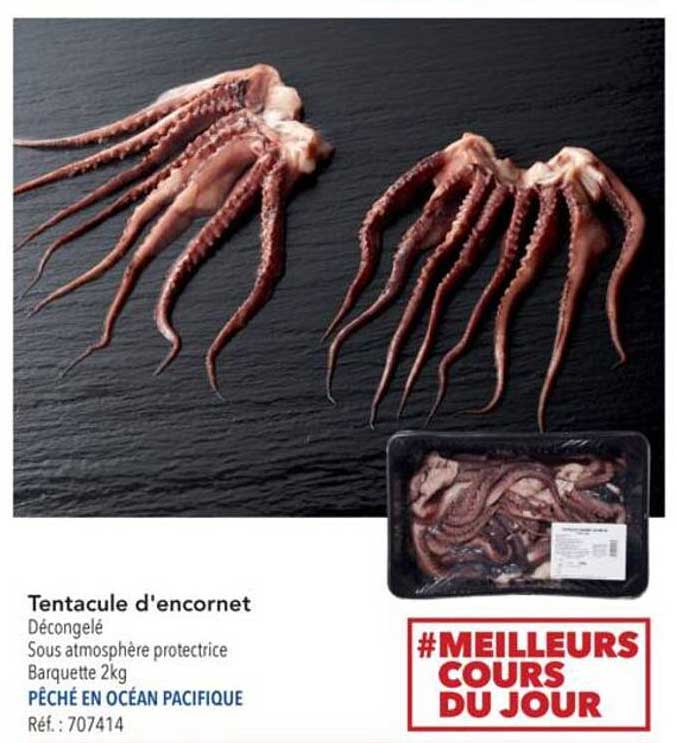 Tentacule d'encornet
