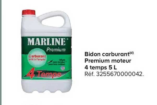 Bidon carburant(d) Premium moteur 4 temps 5 L