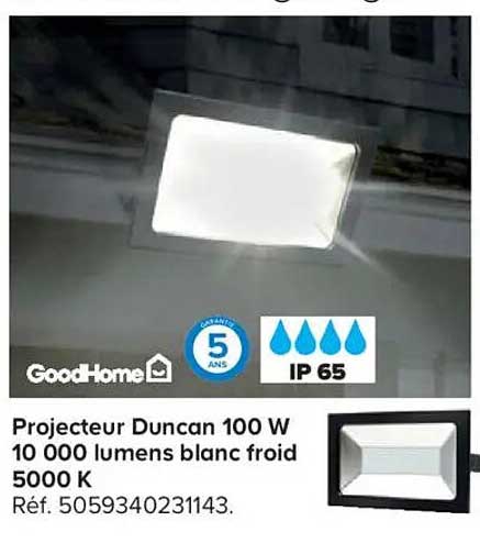 Projecteur Duncan 100 W 10 000 lumens blanc froid 5000 K