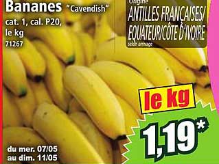 Bananes "Cavendish"
