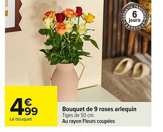 Bouquet de 9 roses arlequin