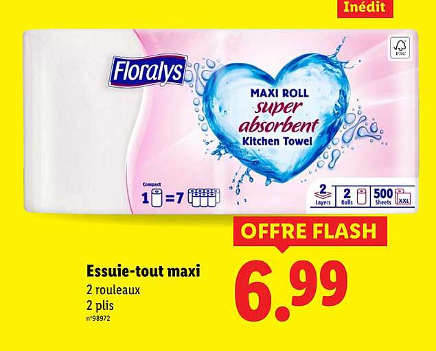 Essuie-tout maxi
