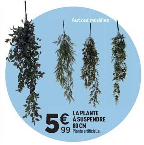 LA PLANTE À SUSPENDRE 80 CM