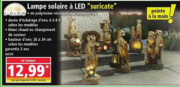 Lampe solaire à LED "suricate"