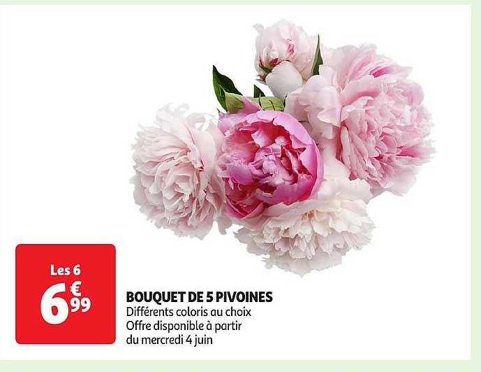BOUQUET DE 5 PIVOINES