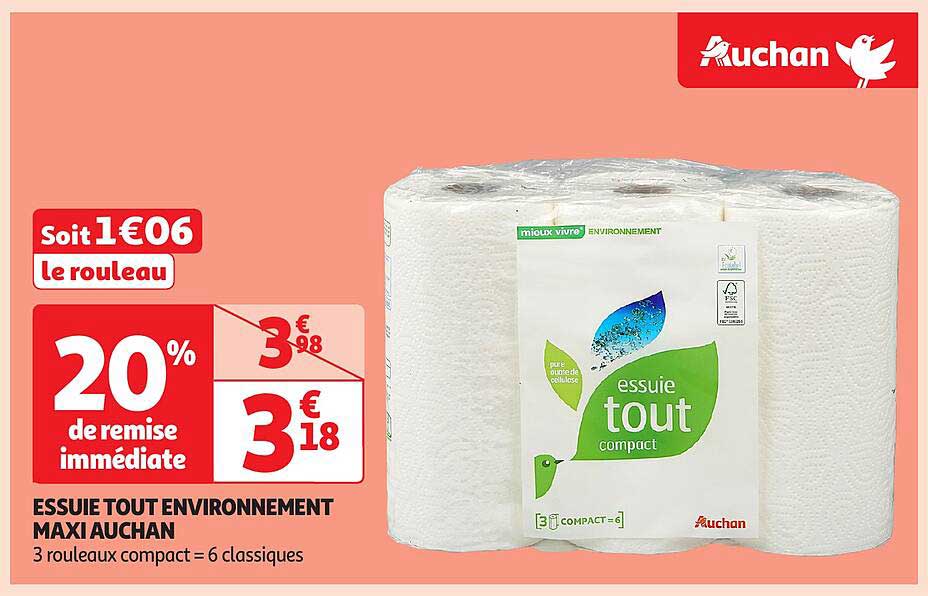 ESSUIE TOUT ENVIRONNEMENT MAXI AUCHAN