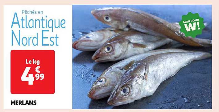 Pêchés en Atlantique Nord Est