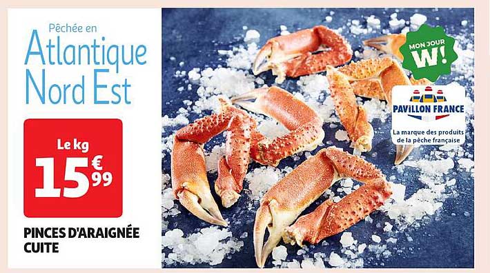 PINCES D'ARAIGNÉE CUITE