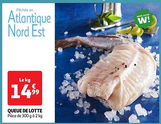 QUEUE DE LOTTE