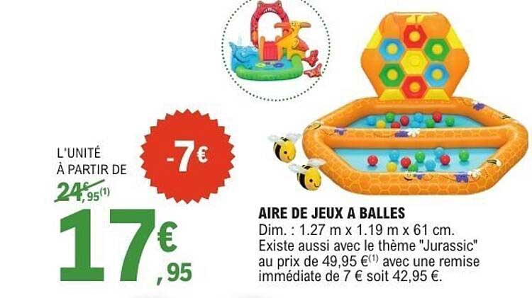 AIRE DE JEUX A BALLES