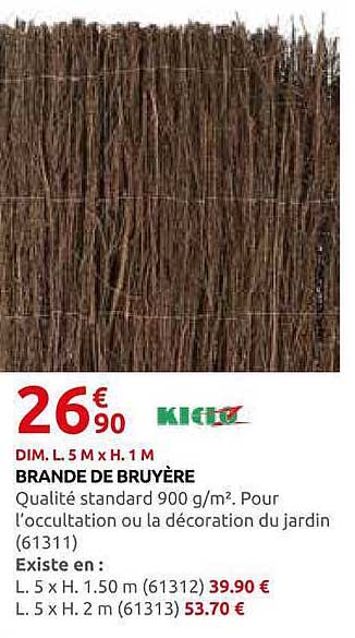 BRANDE DE BRUYÈRE