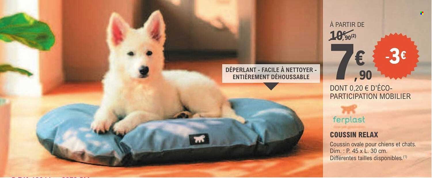 COUSSIN RELAX