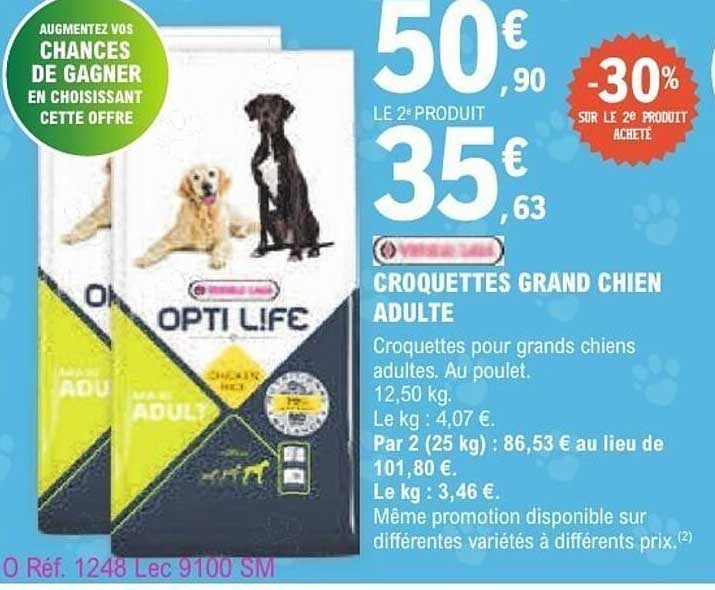 CROQUETTES GRAND CHIEN ADULTE