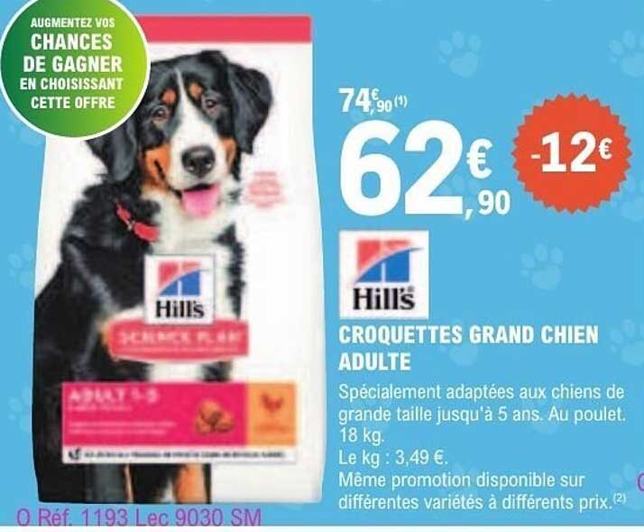 CROQUETTES GRAND CHIEN ADULTE