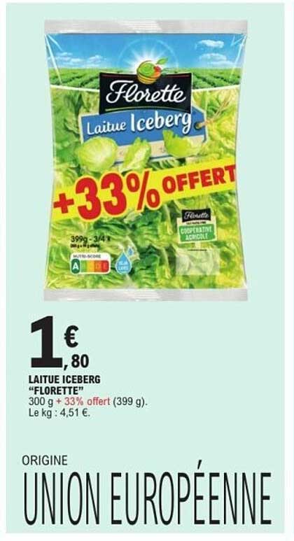 LAITUE ICEBERG "FLORETTE"
