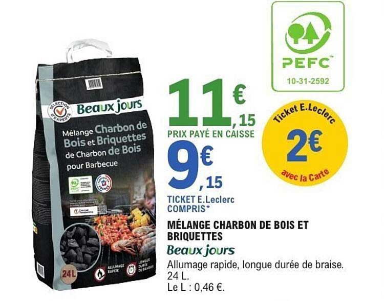 MÉLANGE CHARBON DE BOIS ET BRIQUETTES Beaux jours