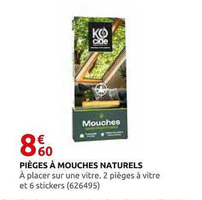 PIÈGES À MOUCHES NATURELS