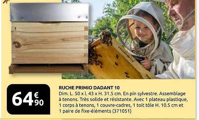 RUCHE PRIMIO DADANT 10