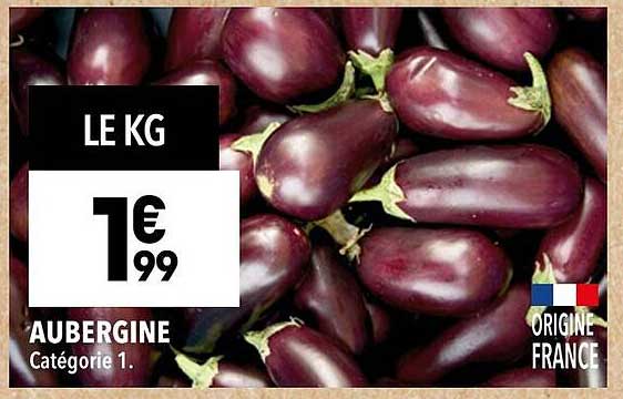 AUBERGINE