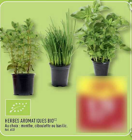 HERBES AROMATIQUES BIO(C)