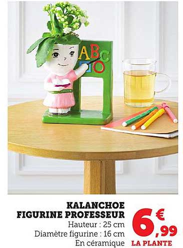 KALANCHOE FIGURINE PROFESSEUR