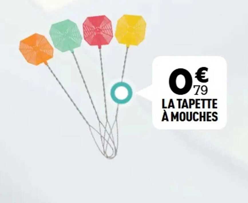 LA TAPETTE À MOUCHES