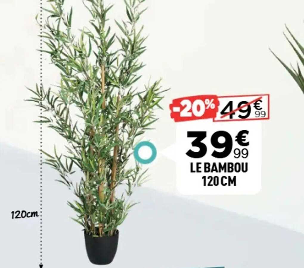 LE BAMBOU 120 CM