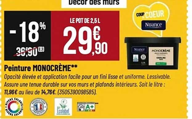 Peinture MONOCRÈME**