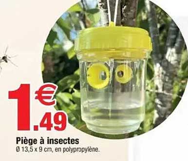 Piège à insectes