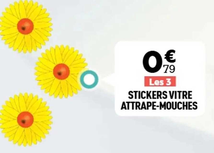 STICKERS VITRE ATTRAPE-MOUCHES